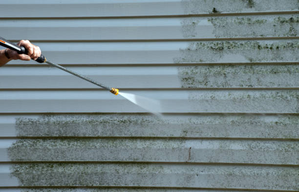 Best Driveway Pressure Washing  in Westby, WI
